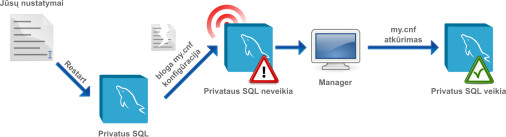 Nuostatų atkūrimas