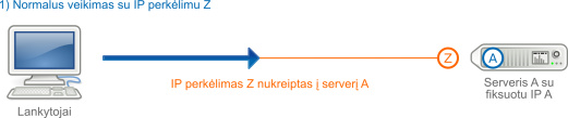 IP perkėlimas skirtojo serverio keitimo atveju